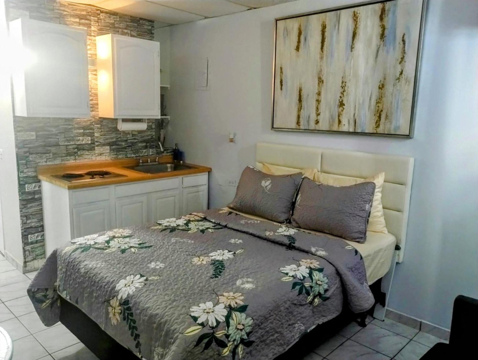 Apartamento Coco Mar Oceanview San Juan